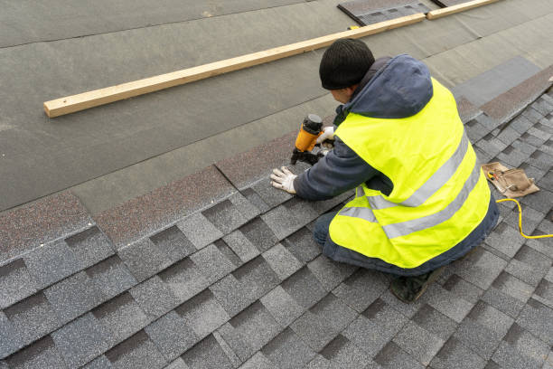 Best Metal Roofing Contractor  in De Soto, IA